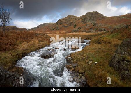 Tarn Beck in der Nähe von Seathwaite im Duddon Valley mit Throng Close und Tongue House Close Beyond im English Lake District National Park, Cumbria, England. Stockfoto