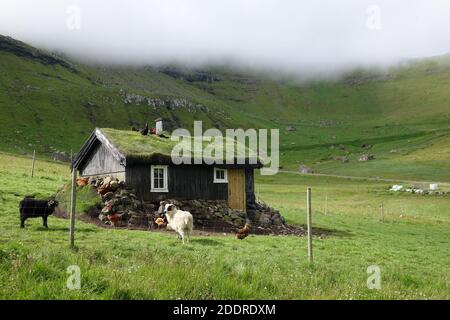 Turf Hütte in der Wildnis, Färöer Inseln Stockfoto