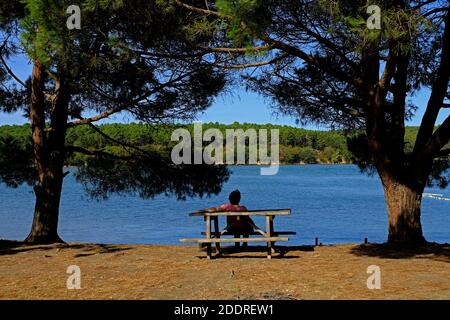 Akliman, wo der Wald auf das Meer trifft, liegt 8 Kilometer vom Stadtzentrum von Sinop entfernt. Stockfoto