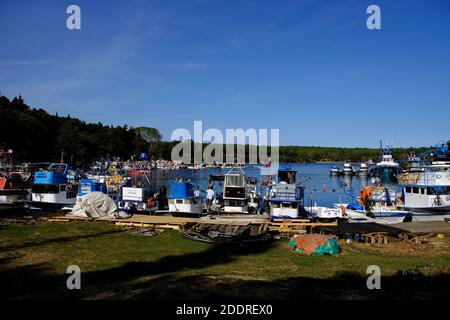 Akliman, wo der Wald auf das Meer trifft, liegt 8 Kilometer vom Stadtzentrum von Sinop entfernt. Stockfoto