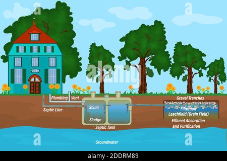 Home septischen System und Abfluss Feld Schema. Unterirdisches septisches System. Klärgrube für den Haushalt. Außerhalb der privaten Hause Kläranlage. Vektor Stock Vektor