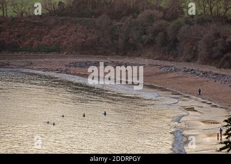 Langland Bay, Swansea, Großbritannien. November 2020. Schwimmer trotzen dem kühlen Wetter in Langland Bay bei Swansea an diesem Nachmittag am Ende eines sonnigen, aber kalten Herbsttages.Quelle: Phil Rees/Alamy Live News Stockfoto