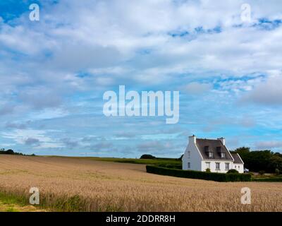 Isoliertes Haus umgeben von Ackerland in der Nähe von Ploneour-Lanvern in Finisterre Bretagne Nordwesten Frankreich. Stockfoto