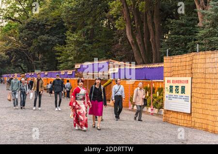 asakusa, japan - november 03 2019: Touristen, die auf Chrysantheme Blumen des Herbst Grand Festival im Meiji Jingū Schrein während der MEM Stockfoto