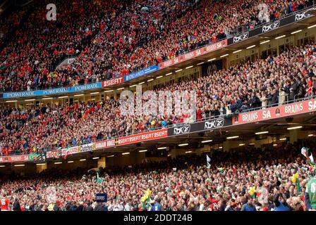 Rugby-Fans treffen sich im Millennium Stadion zum Six Nations Rugby Spiel Wales gegen Italien, in Cardiff, Wales. Stockfoto