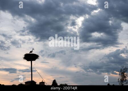 Störche im Nest wolkigen Himmel in boadilla del monte madrid spanien Stockfoto