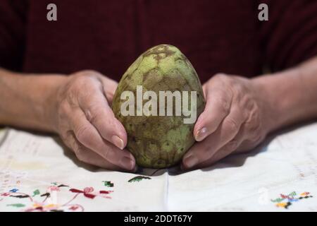 Eine Frau hält einen Pudding Apfel in den Händen auf einer Stofftischdecke, die mit farbigen Fäden verziert ist. Kochen gesundes vegetarisches Essen zu Hause. Stockfoto