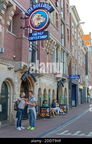 Amsterdam, Niederlande - 15. Mai 2018: Berühmte The Bulldog Energy Coffee Shop in Amsterdam, Holland. Stockfoto