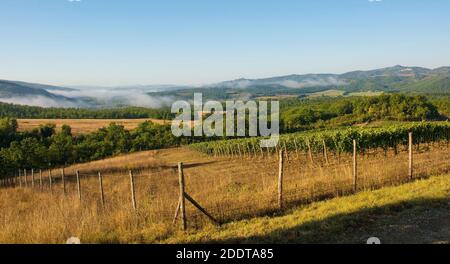 Morgennebel steigt über die Spätsommerlandschaft bei Murlo, Provinz Siena, Toskana, Italien Stockfoto