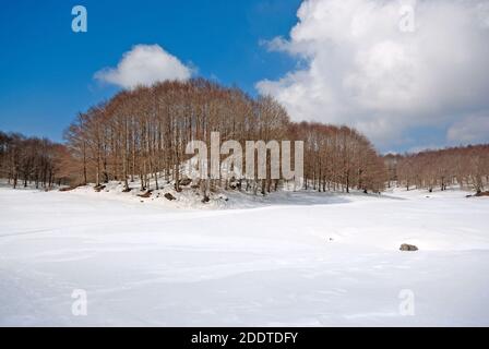 Simbruini Mountains Regional Park im Winter, Latium, Italien Stockfoto