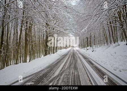 Straße durch den Monte Amiata Wald mit Schnee, Toskana, Italien Stockfoto