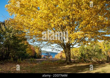 Das Quabbin Reservoir, früher vier Städte, die von der Commonwealth of Massachusetts genommen wurden, um eine Wasserversorgung für Ost-Massachusetts Stockfoto