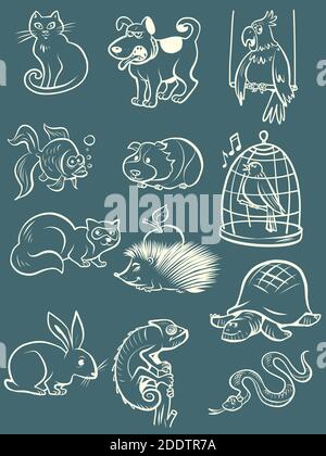 Haustiere Tiere Sammlung Set Symbole Symbole Skizze Handzeichnung Stock Vektor