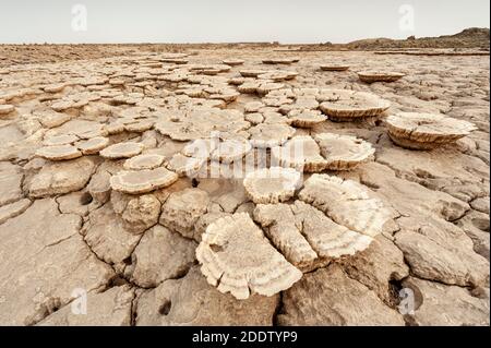 Dallol Schwefel oder Schwefel Quellen und Pools und Felsformationen in der Danakil-Depression in Afar, Äthiopien Stockfoto