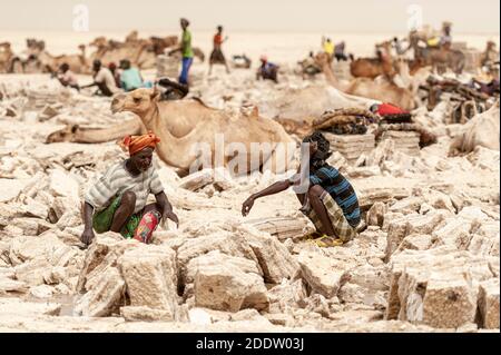 Salzbergarbeiter arbeiten in der Danakil Depression Salzfelder in Die Afar-Region Nordäthiopiens Stockfoto