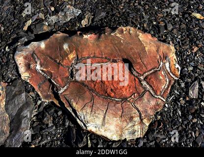 Großer Bergstein in einem Schnitt Nahaufnahme zwischen kleinen Kies. Natürlicher abstrakter Hintergrund, Steinstruktur und Textur, Geologie. Herz aus Stein Stockfoto