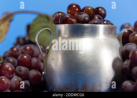 Frische Traubenfrüchte und Beeren. Blauer Hintergrund . Zutat für Säfte und Wein. Traubenbeeren in Aluminium. Stockfoto