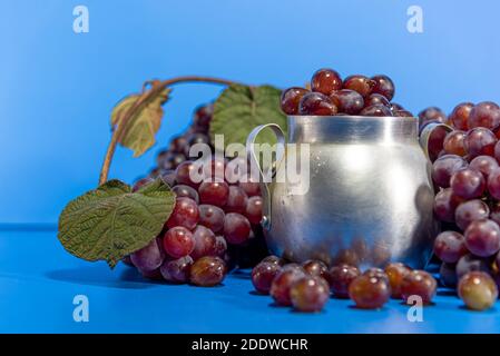 Traubenfrüchte. Zutat für Säfte und Wein. Traubenbeeren in Aluminiumbehälter. Blauer Hintergrund. Menschliche Nahrung Stockfoto