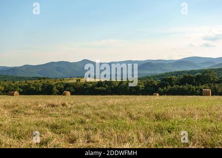 Heuballen auf einem Feld in Fuzer, Nordungarn Stockfoto