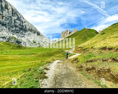 Mann geht mit dem Mountainbike auf einer Bergroute - Der junge Mountainbiker fährt mit seinem E-Bike auf einem Trail Durch Wiesen - Mountainbiken Stockfoto