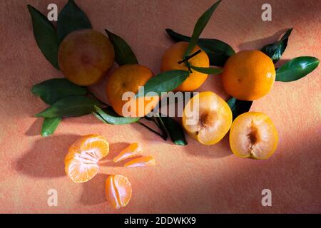 Mandarinen, gelbe Pflaumen und ihre gespaltenen Hälften auf einem pastellfarbenen Pfirsichhintergrund.Kreatives Stillleben und RAW-Fotografie mit einem Spiel mit Licht und Schatten. Stockfoto