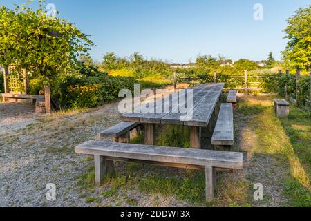 Ein Holztisch und Bänke im Boden gegraben, eine Veranda mit Weinpflanzen bedeckt, ein Blumenbeet, Früchte von Äpfeln hängen von den Bäumen entlang der Wald Stockfoto