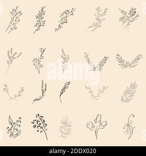 Doodle Einfache Kollektion von 20 handgezeichneten floralen Elementen. Große Sammlung von 20 handgezeichneten Zweigen. Großes Blumendesign botanischen Set. Isoliert. Stock Vektor