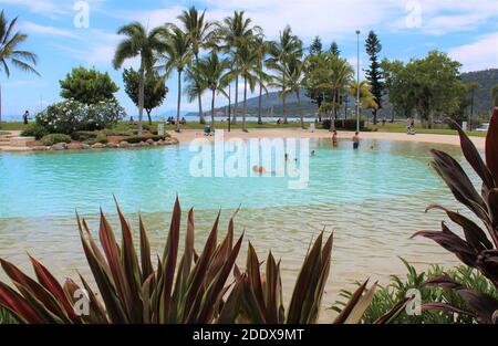 Airlie Beach Lagoon, in Airlie Beach, Whitsunday Region von Queensland, Australien. Stockfoto