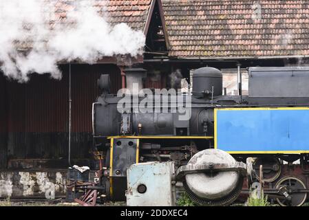 Mountain Railway Ooty Zug Tamil nadu Indien historischen alten Vintage-Zug Dampflokomotive Lokomotive Zug nach unten Eisenbahnstrecke Nilgiri. Stockfoto