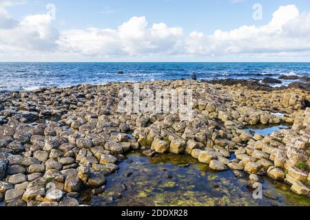 Küste von Giants Causeway in Nordirland mit vulkanischer Basaltik Steine Stockfoto