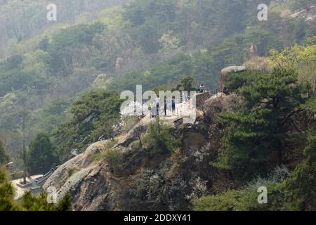 Menschen, die den mountine hinaufgehen, um Kirschblüten zu bewundern. Qianshan Nationalpark, Anshan, Provinz Liaoning, China. Stockfoto