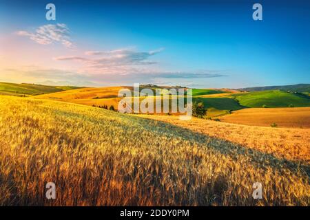 Toskanisches Landpanorama, sanfte Hügel und Weizenfelder bei Sonnenuntergang. Santa Luce, Pisa Italien, Europa Stockfoto
