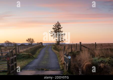 In der Nähe von Tynygraig, Ceredigion, Wales, Großbritannien. 27. November 2020 UK Wetter: Kalter, ruhiger Morgen entlang der Landstraßen von Ceredigion mit einigen schönen pastellfarbenen Wolken am Himmel. © Ian Jones/Alamy Live News Stockfoto