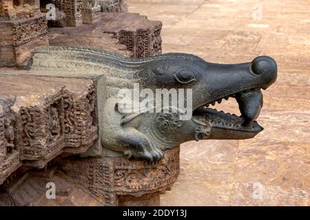 Konark, 9, April, 2014, Draufsicht auf schwarzen Granitgargoyle geschnitzt als Krokodil hält Fisch auf Hindu-Sonne-Tempel, UNESCO-Weltkulturerbe, Odisha Indien Stockfoto