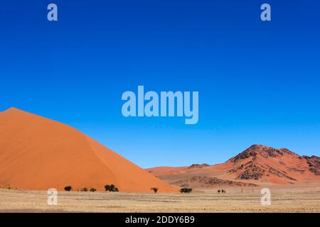 Dune 45, Sossulsvlei Dunes in der Wüste Namib, Namib Naukluft Park in Namibia Stockfoto