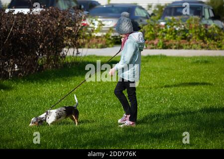 Mädchen Kind spielt mit Dackel Hund im Herbst sonnigen Park Stockfoto