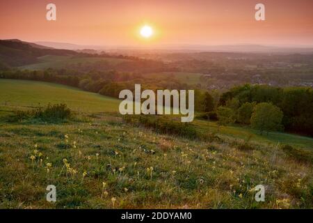 Sonnenuntergang über Washington Village, South Downs National Park, West Sussex, England Stockfoto