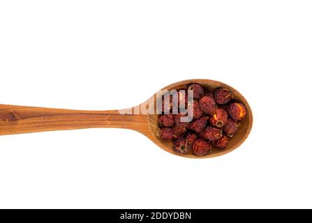 Getrocknete rote Crataegus curvisepala Crataegus monogyna, Crataegus rhipidophylla bekannt als gemeinsame Weißdorn oder einsaat Weißdornbeeren auf Löffel. Stockfoto