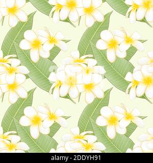 Die digitale Malerei der schönen Frangipani (plumeria) Blume Botanik und Grünes Blatt Hintergrund nahtlose Muster Raster Illustration für Tapete dez Stockfoto