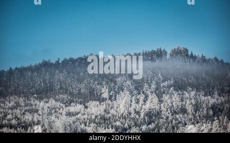 Schnee in den Bergen des Waldviertels, Österreich, Europa Stockfoto