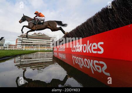 Schwer fassbare Belle von Sam Waley-Cohen geritten löscht den Wassersprung, bevor Sie auf die Ladbrokes Daily Odds Boosts Chase auf Newbury Racecourse zu gewinnen. Stockfoto