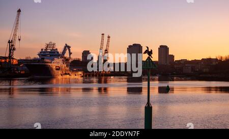 Ein goldener Sonnenuntergang in Roker Marina, Sunderland mit einem Kormoran, der sich erwärmt und die letzten Sonnenstrahlen optimal ausstrahlt. Stockfoto