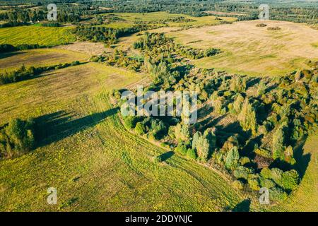 Luftaufnahme Sommer Grüne Wiese Mit Getrimmtem Gras Und Waldlandschaft. Draufsicht Auf Feld Und Wald Stockfoto