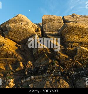 Bei Ebbe an der Somerset Coast am Kilve Beach werden diese jurassischen Felsvorsprünge aus Lias, Shale und Kalkstein sichtbar. Stockfoto