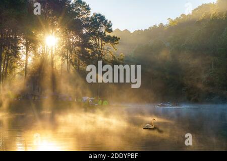 Morning Day in Pang Ung Lake, Tourist berühmten Ort, wo die Menschen kommen, um Urlaub im Winter in Mae Hong Son in der Nähe von Chaing Mai, nördlich von Thailand Stockfoto