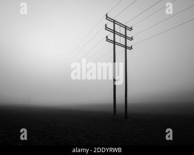 Nebliger Lockdown Walk in Hintlesham Suffolk Stockfoto