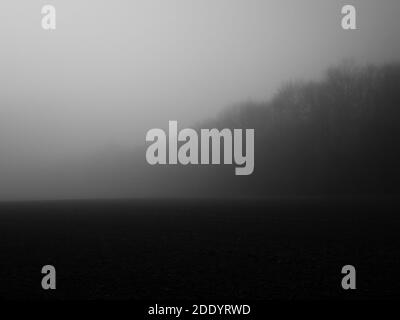 Nebliger Lockdown Walk in Hintlesham Suffolk Stockfoto