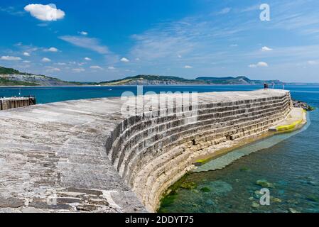 Blick entlang der Cobb bei Lyme Regis in Dorset, England, UK an einem sonnigen, noch Sommer Tag mit dem Golden Cap und Jurassic Coast in der Ferne Stockfoto