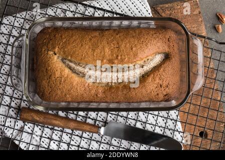 Bananenbrot frisch aus dem Ofen Stockfoto