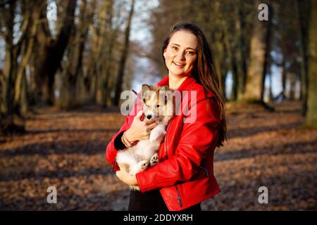 Glückliches Mädchen mit Sheltie Welpen im Park Stockfoto